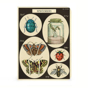 Notizbuch Specimens