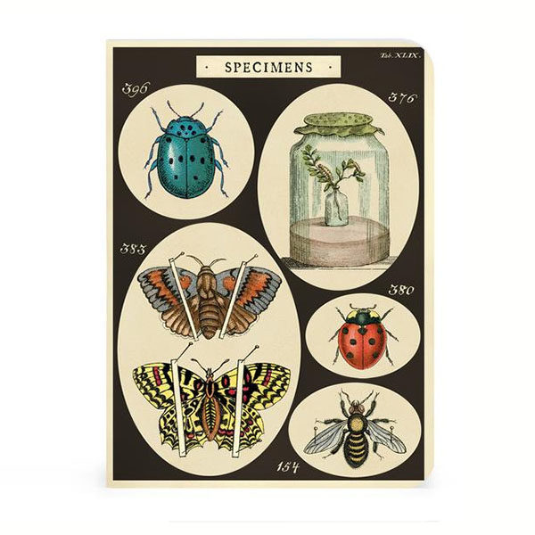 Notizbuch Specimens