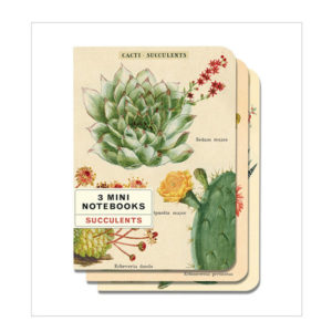 Notizbuch 3er-Set Kakteen