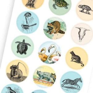 Sticker und Tape Buch der Naturkunde – Bild 3