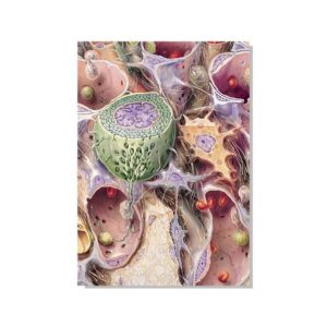 Postkarte mit Zellen-Motiv