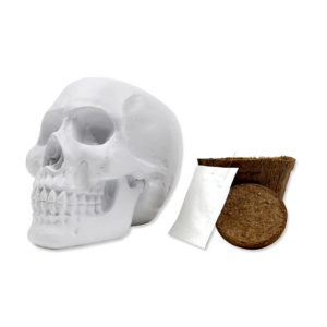 Skull Pflanzset – Bild 2