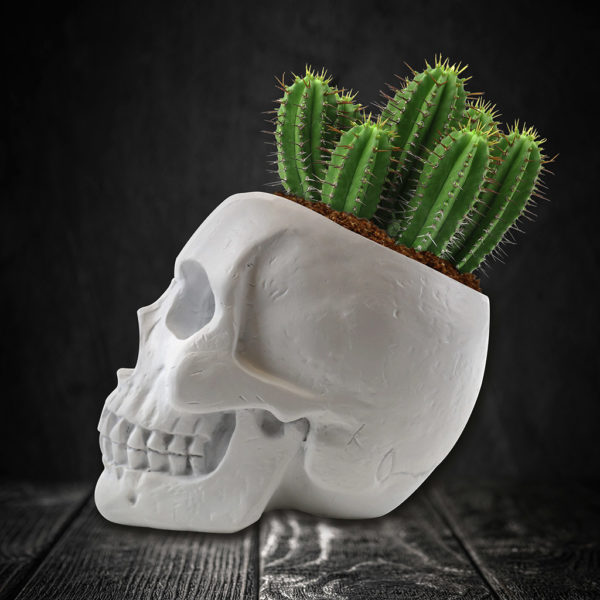 Skull Pflanzset